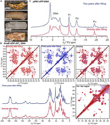 Sedimentation Yields Long-Term Stable Protein Samples as Shown by Solid-State NMR